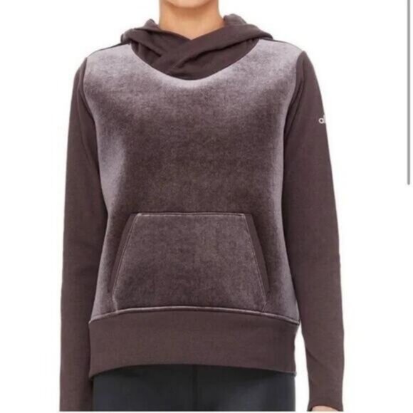 NWT ALO YOGA Luxe Long Sleeve Velour Hoodie Sweatshirt Size Medium In Raisin - Picture 2 of 10